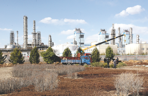 小笨虎游戏平台特色